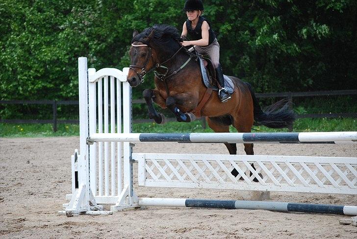 Connemara Hedehusets Ragout*B-Pony* - Træning på NSR han var så fin :D<3 Foto: Astrid støvring-hallsson billede 16