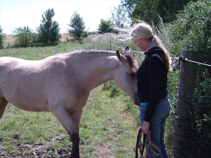 Quarter Rooster Did It billede 7