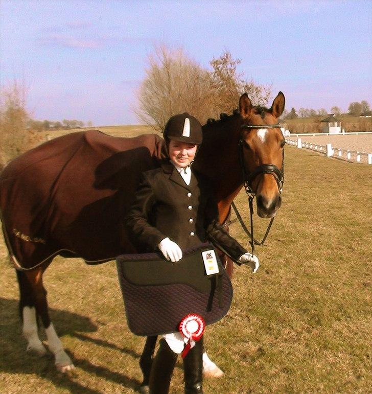 Hollandsk Sportspony Andorra *B-pony* Solgt billede 8