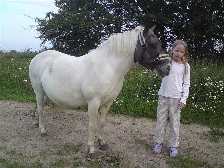 Anden særlig race Nuggi billede 18