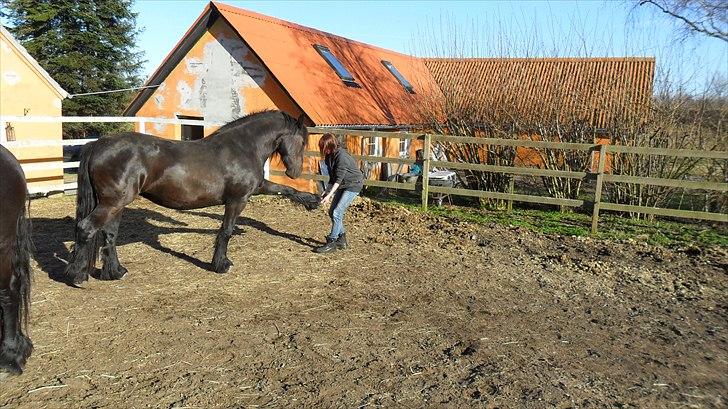 Anden særlig race Amaya #SOLGT# - Skal lige strækkes igennem.. billede 17