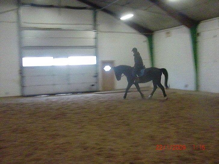 Oldenborg Brisano billede 1