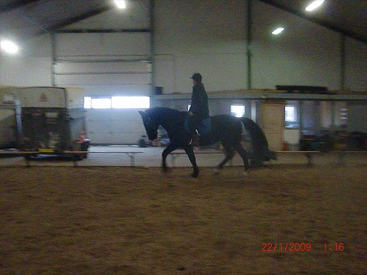 Oldenborg Brisano billede 3
