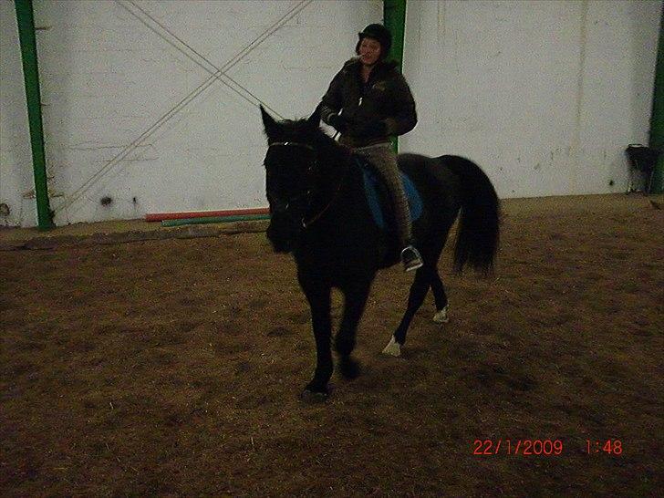 Oldenborg Brisano billede 5