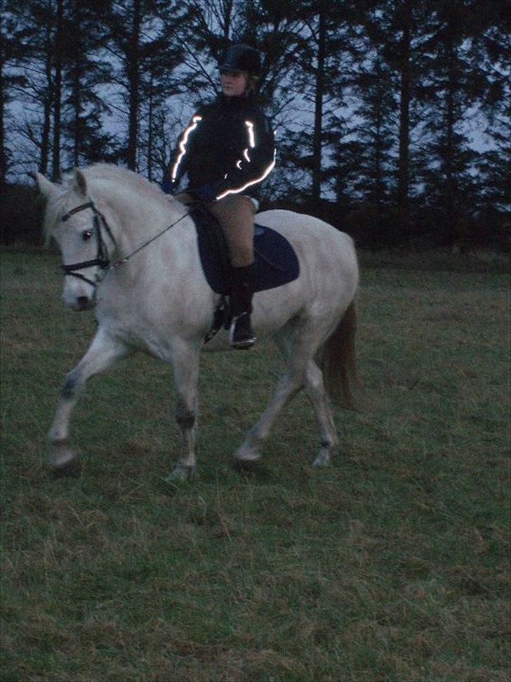 Connemara Birkely surprise  billede 1