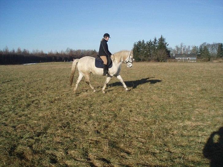 Connemara Birkely surprise  billede 2