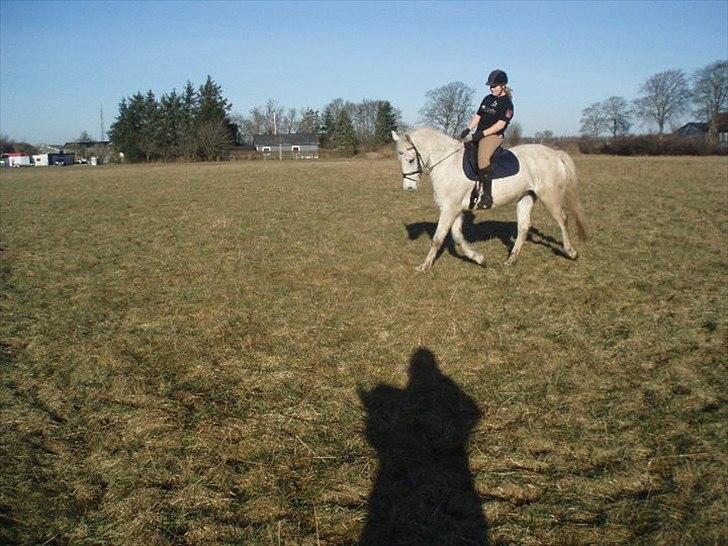 Connemara Birkely surprise  billede 3