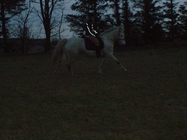 Connemara Birkely surprise  billede 4