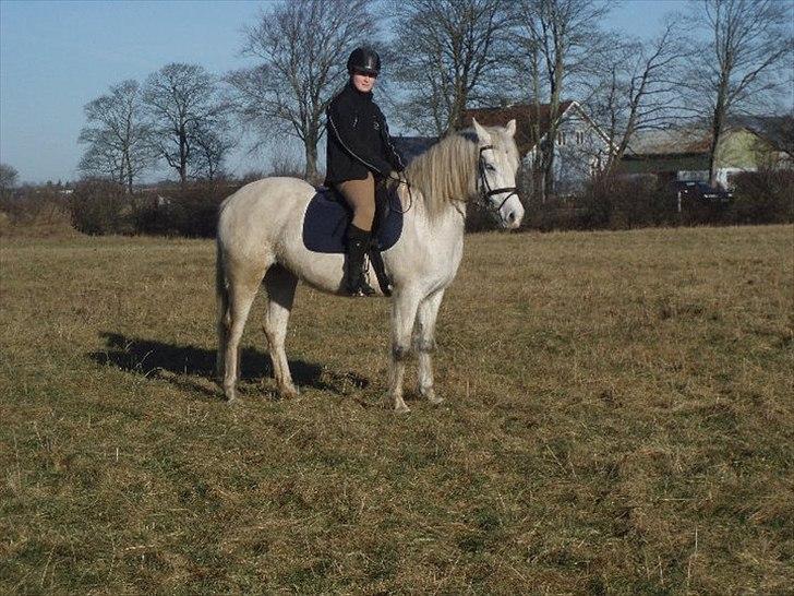 Connemara Birkely surprise  billede 7