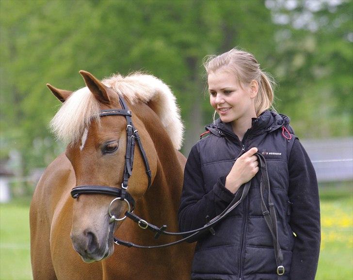Hollandsk Sportspony Amy | B-pony <3  - VeLkOmMeN tIl AmYs PrOfIl <3 :D billede 1