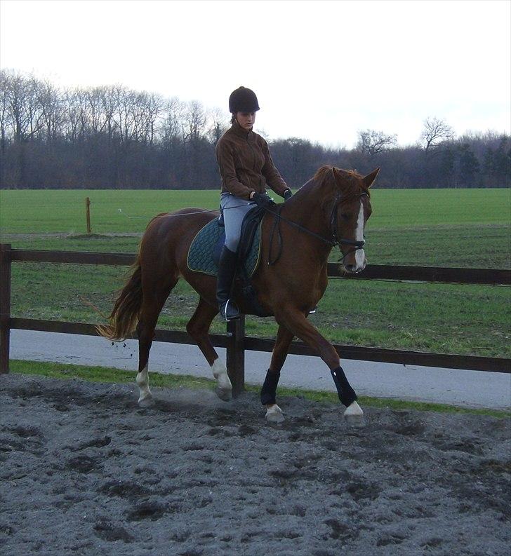 Frederiksborg Maisi Brentedal  billede 8