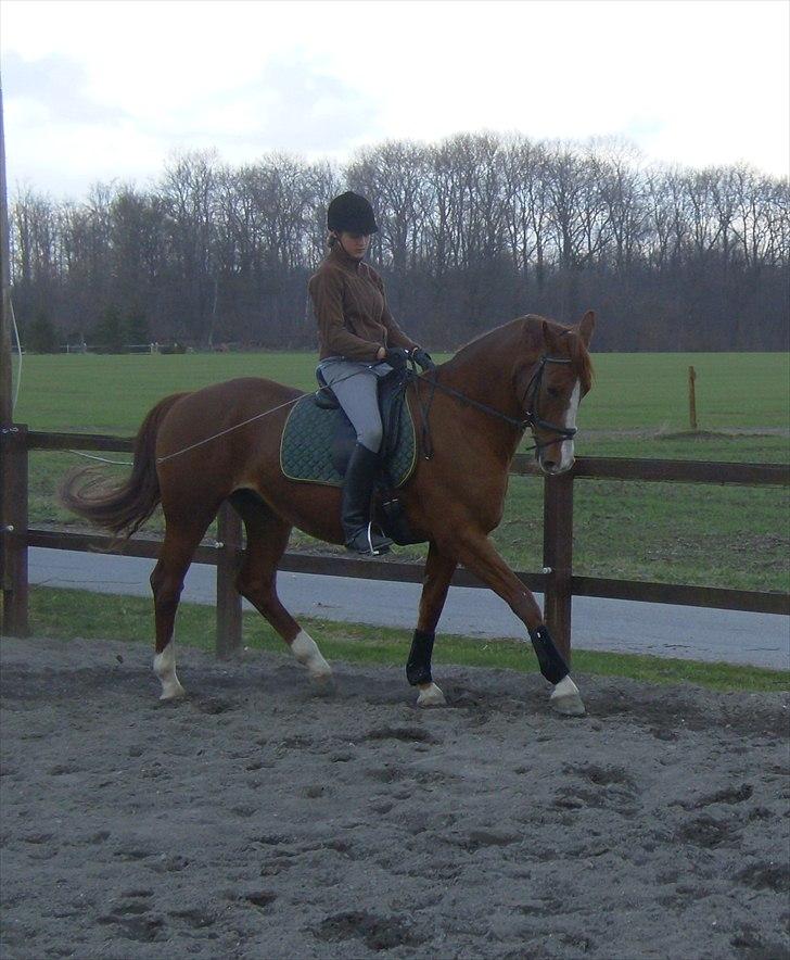 Frederiksborg Maisi Brentedal  billede 10