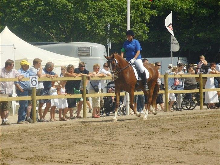 Frederiksborg Maisi Brentedal  - mor og maisi roskilde;) billede 11