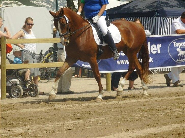 Frederiksborg Maisi Brentedal  billede 12