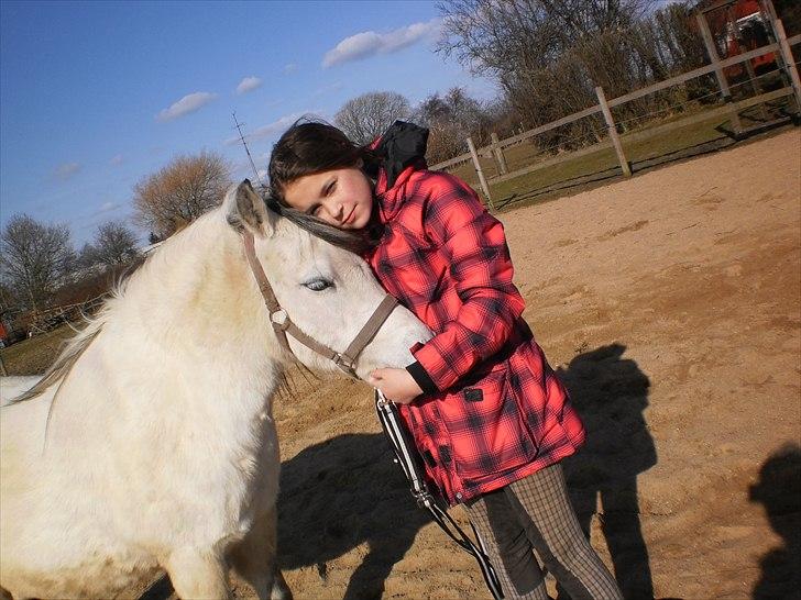 Welsh Pony (sec B) Josepigen`s Lotte - Lotte og jeg. billede 2