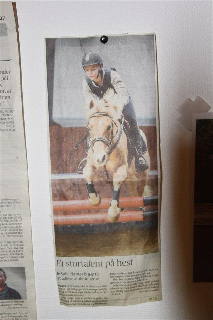 Hollandsk Sportspony Amy | B-pony <3  - Mig og Amy på forsiden <3 billede 19