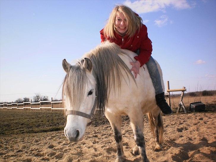 Welsh Pony (sec B) Josepigen`s Lotte - Min veninde og Lotte. billede 6