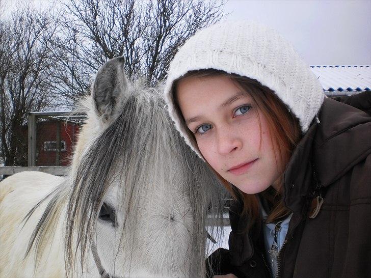 Welsh Pony (sec B) Josepigen`s Lotte - Lotte og jeg i vinters.  billede 8