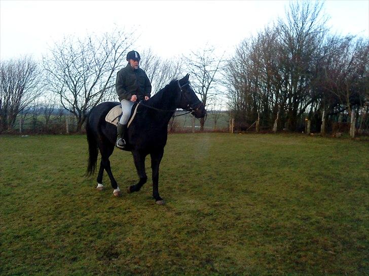 Anden særlig race Chagall billede 9