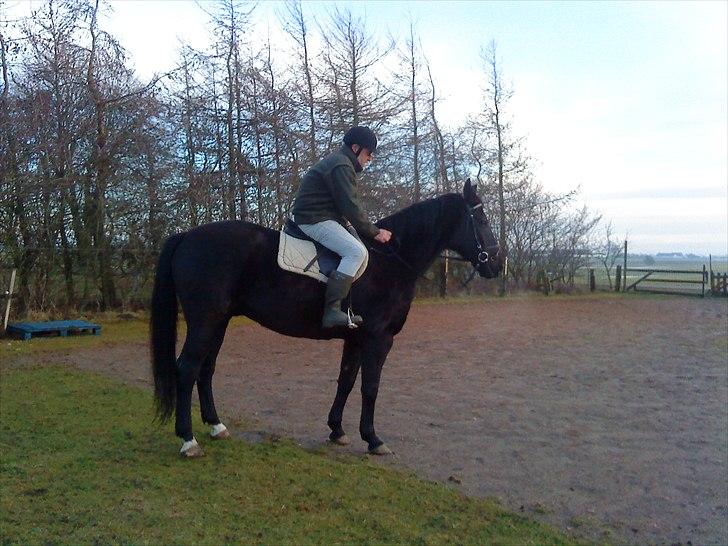 Anden særlig race Chagall billede 10