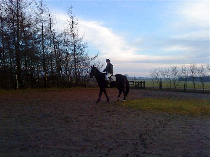 Anden særlig race Chagall billede 15