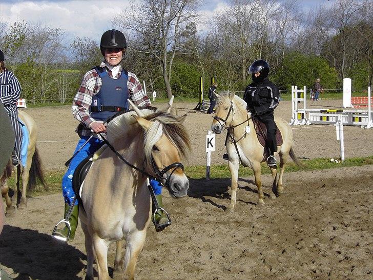 Fjordhest Cirkeline Møldrup - Cirkeline og jeg som bonde og ko. billede 7