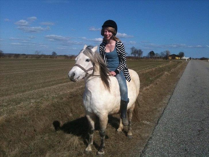 Welsh Pony (sec B) Josepigen`s Lotte - Lotte og veninde.  billede 10