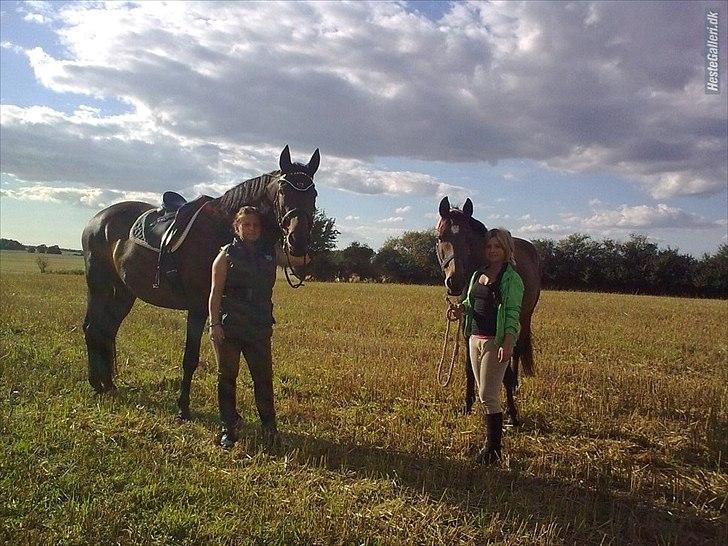 Trakehner Mercedes Lobell *Savnet* - Cathrine og Calina. Mercedes og Mie (Mig) Det er sådan et smukt billede:) billede 8