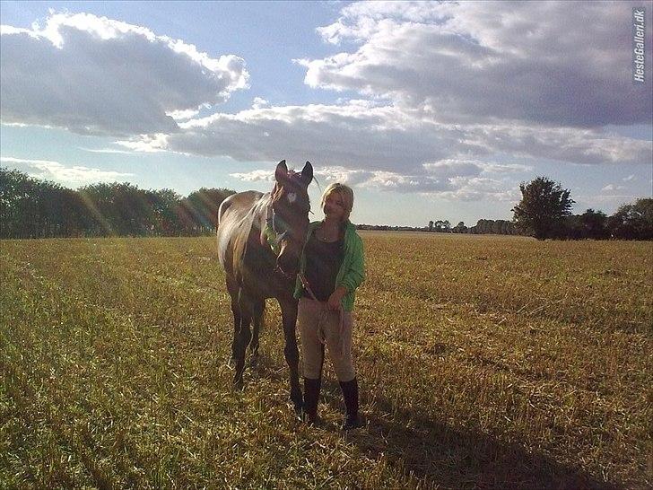 Trakehner Mercedes Lobell *Savnet* - Min kærlighed til dig er så stor at den ikke kan bedskrives. Elsker dig! Du er det bedste der er sket for mig! Mit et og alt!  billede 9