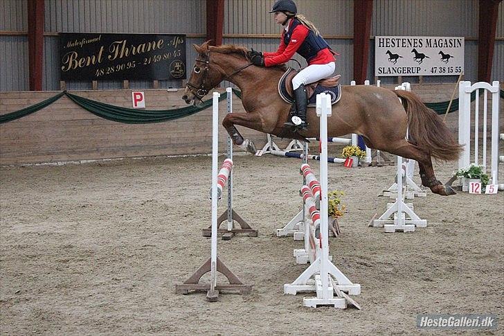 Hollandsk Sportspony iris - Julie Lentz og Iris LB** - Hun var blevet halt, undskyld iris at jeg red klassen :-(<3 Foto: Nathalie sam billede 10