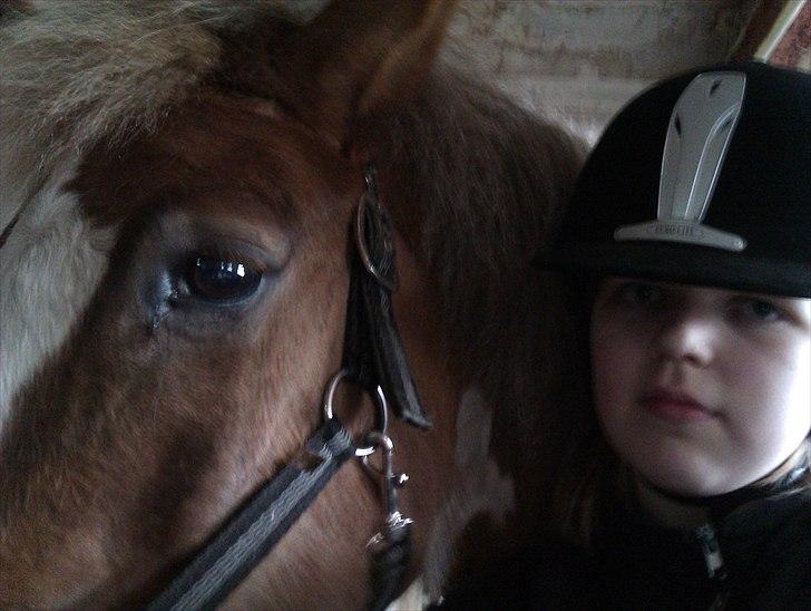 Pinto Balou <3 (elev) - er da vist lidt sur der men Balou er skam stdig den sødeste! billede 11