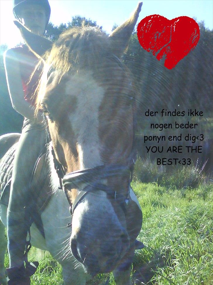 Pinto Lee - Cooper GOLÅ<3solgt - Der er ingen som dig 
Du har ændret mig 
Ved også at jeg har ændret dig<3<3<3
Dig og mig 4-ever<3 
foto: Josephine billede 5