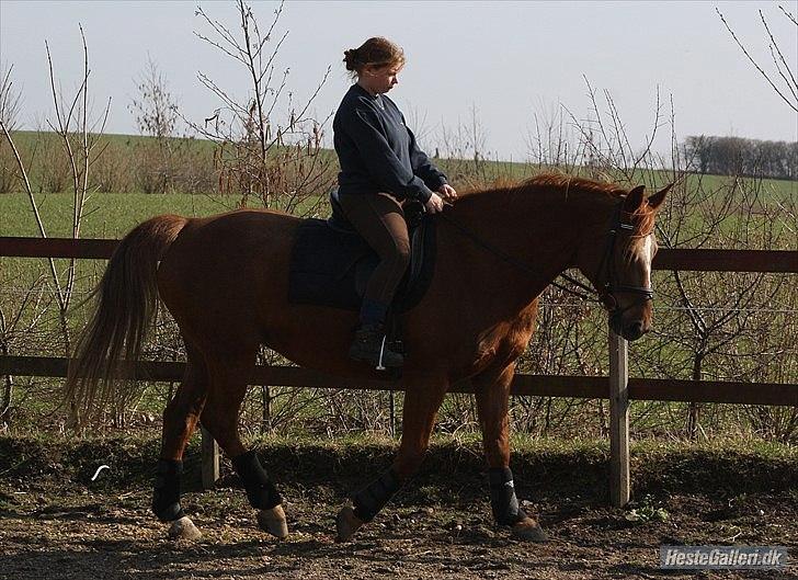 Anden særlig race Unique. billede 3