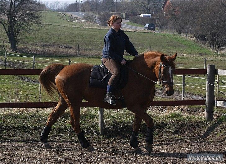 Anden særlig race Unique. billede 5