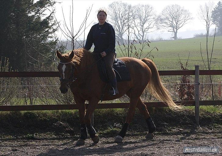 Anden særlig race Unique. billede 6