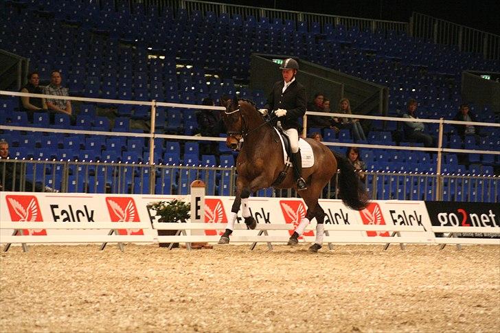 Dansk Varmblod Hønnerups Force - Force og Jim Rasmussen, Herning 2011 billede 7