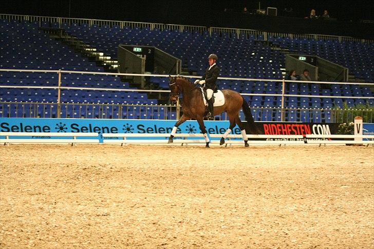 Dansk Varmblod Hønnerups Force - Force og Jim Rasmussen, Herning 2011 billede 8