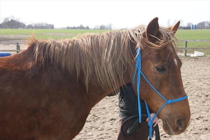 Anden særlig race Sigurd min prins <3! - 2# Smukke dreng billede 2
