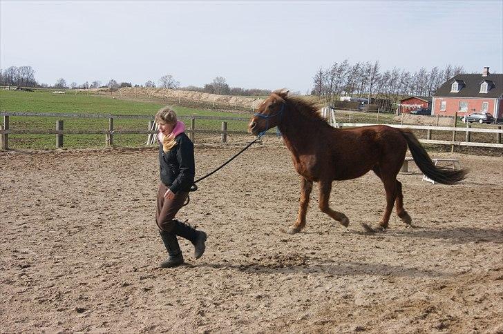 Anden særlig race Sigurd min prins <3! - 3# Sigurd løber billede 3