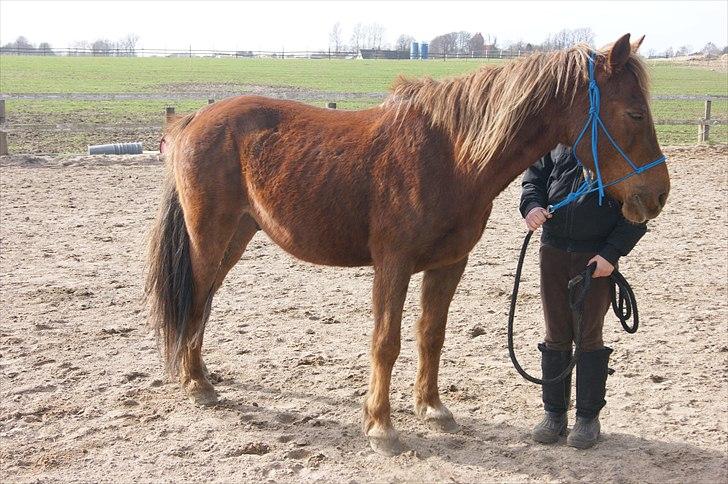 Anden særlig race Sigurd min prins <3! - 4# Han kan sgu stå stille bølle mand billede 4