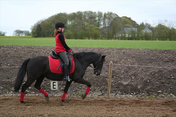 Anden særlig race Tara Lee - et gammelt billede billede 6