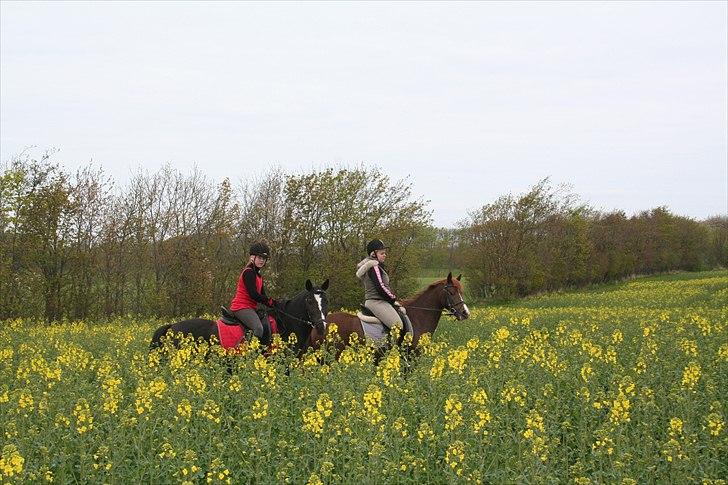 Anden særlig race Tara Lee - En rigtig hygge dag med Christina <3 :-)
tak for en hyggelig dag<3 <3 billede 7
