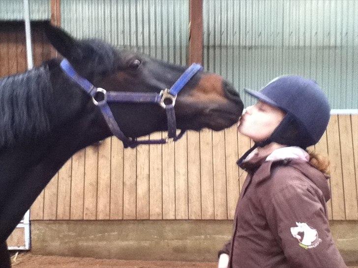 Anden særlig race Bonfire *Solgt* - Bonfire og mig som kysser billede 5