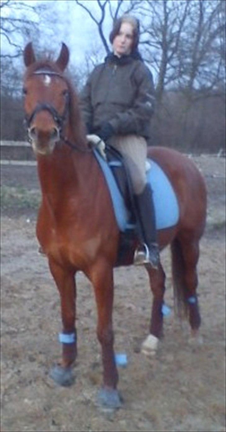 Anden særlig race Mon Cherie Solgt :'( billede 10