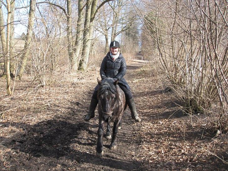 Anden særlig race Sonny  - skovtur!<3 billede 7