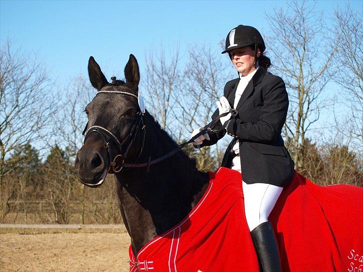 Anden særlig race Team STOPS Isabell - til stævne i sdr. hygum rideklub. :D fik en 2 plads i LC2. billede 9