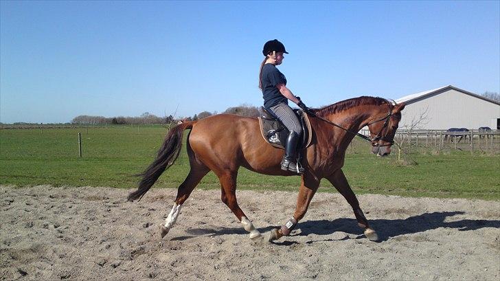 Anden særlig race Cosmo - 13// Ved godt jeg sidder ret så fælt men altså ... Cosmo er jo sød :D billede 13