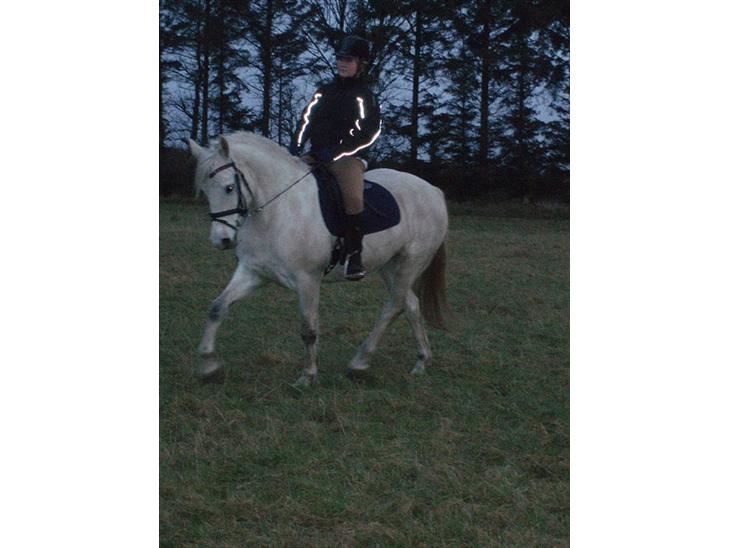 {{currentPhoto.altText}} billede {{currentPhoto.number}}