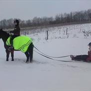 Anden særlig race flicka(;