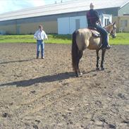 Quarter Cool Captain Spirit